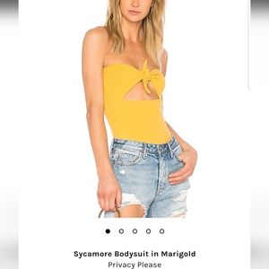 Privacy Please Sycamore bodysuit